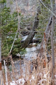 20141123_Shalda_Creek