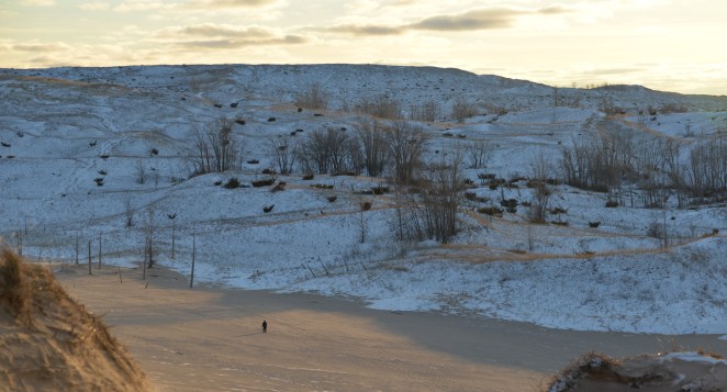 DSC_2241_Walker_Story_File