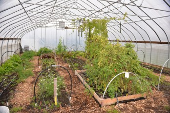 Tollgate_Greenhouse_1