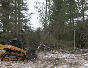 Grinding a Clear Cut